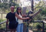 Cleland Park, Adam, Claudia, and koala bear