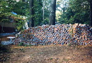 Brandon and Jack sleeping 4 - (cat)