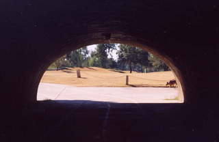 Greenbelt tunnel closer