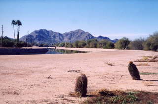 Cacti along aquaduct