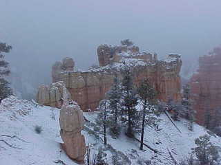 Bryce Canyon snowy hoodoos 6