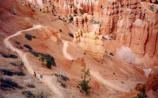 Bryce Canyon hoodoos 9 bottom