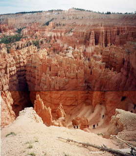 Bryce Canyon hoodoos 8 combination picture