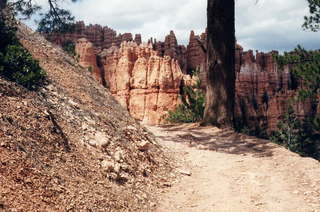 Bryce Canyon fallen tree 2