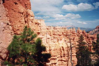 Bryce Canyon hoodoos behind trees zoom (A)