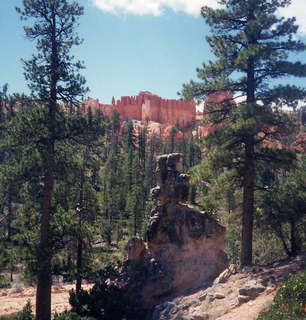 Bryce Canyon hoodoos 9 bottom