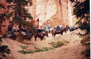 Bryce Canyon amphitheater 8