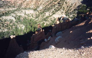 Bryce Canyon hoodoos on a hill bottom