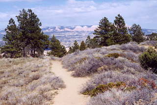 Bryce Canyon tower bridge 1