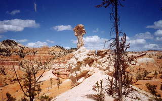 Bryce Canyon lone, tall hoodoo
