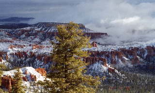 Bryce Canyon tower bridge area
