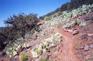 Sedona Airport hike 1