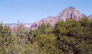 Sedona greenery close and rocks far