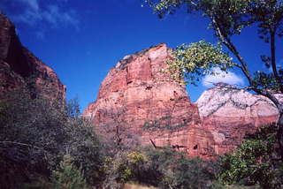 Road to Zion National Park