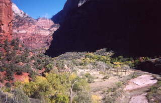 Zion National Park on the way to Angel's Landing 3