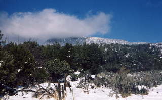 View near Zion National Park