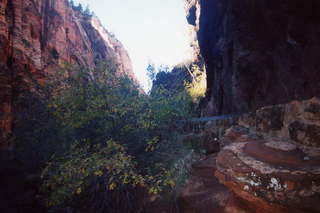 Zion National Park on the way to Angel's Landing 7