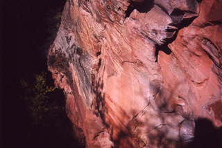 Zion National Park on the way to Angel's Landing 8