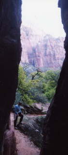 Zion National Park, Adam near Angel's Landing 3