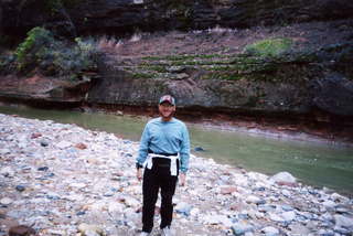 Virgin River in Arizona