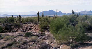 Sunrise Trail, McDowell Mountains