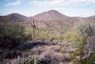 Sunrise Trail, McDowell Mountains