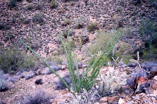 Zion National Park, view across Virgin River