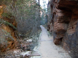 Zion National Park -- upper drive