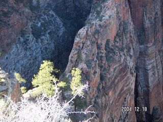 Zion National Park -- Angel's Landing