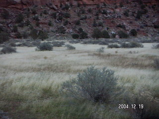 Zion National Park -- Pa'rus trail -- grassy terrain