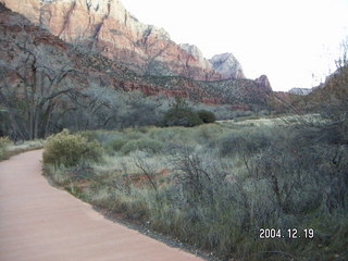 Zion National Park -- looking up at white rock