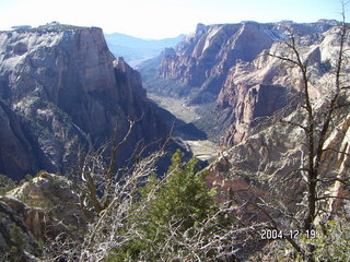 Zion National Park -- up to Observation Point