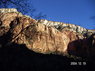 Full moon partly behind a tree in silhouette