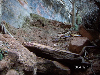 Zion National Park -- Emerald Ponds