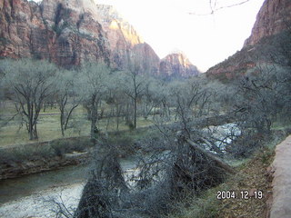 Zion National Park -- Emerald Ponds