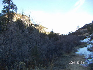 Zion National Park -- East Rim trail