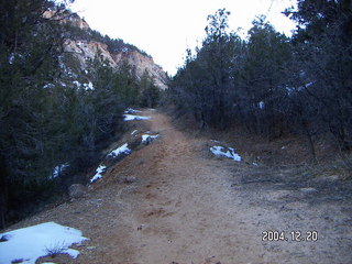 Zion National Park -- East Rim trail