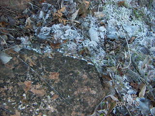 Zion National Park -- Watchman trail frosty, snowy vegetation