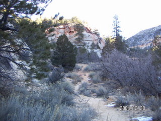 Zion National Park -- road to Kanab