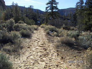 Zion National Park -- East Rim trail