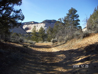 Zion National Park -- East Rim trail