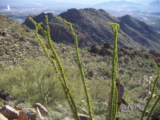 Sunrise Trail