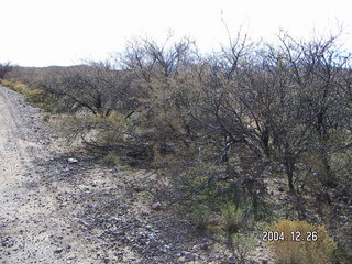 road near San Carlos (Globe) Airport