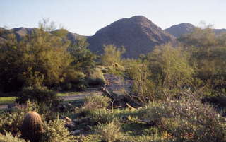 Lost Dog Wash trailhead