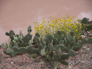Grand Canyon -- Black Bridge -- South Kaibab