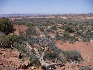 Arches National Park -- Balanced Rock