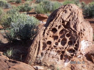 Canyonlands National Park -- Lathrop Trail