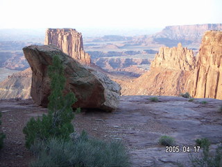 Canyonlands National Park -- Lathrop Trail -- red flower