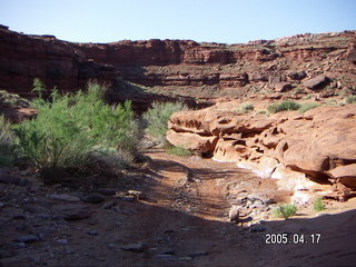 Canyonlands National Park -- Lathrop Trail