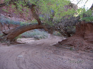 Canyonlands National Park -- Lathrop Trail